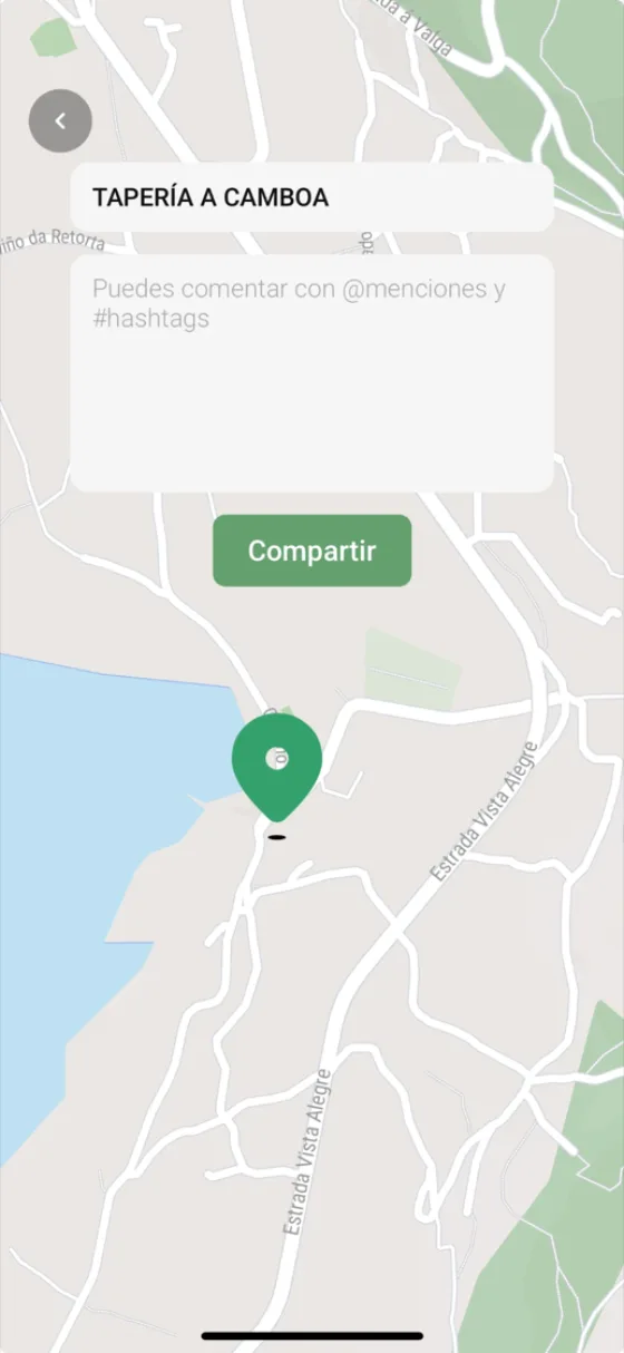 El sitio ya elegido y el campo para escribir el comentario